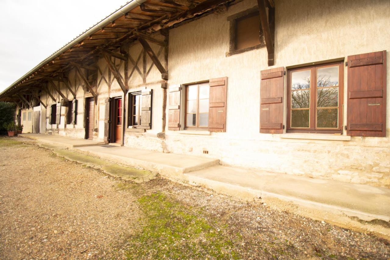 Ferme Bressane - 4 Chambres Saint-Etienne-du-Bois  Экстерьер фото